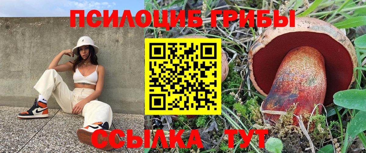 Псилоцибиновые грибы прущие грибы Когалым