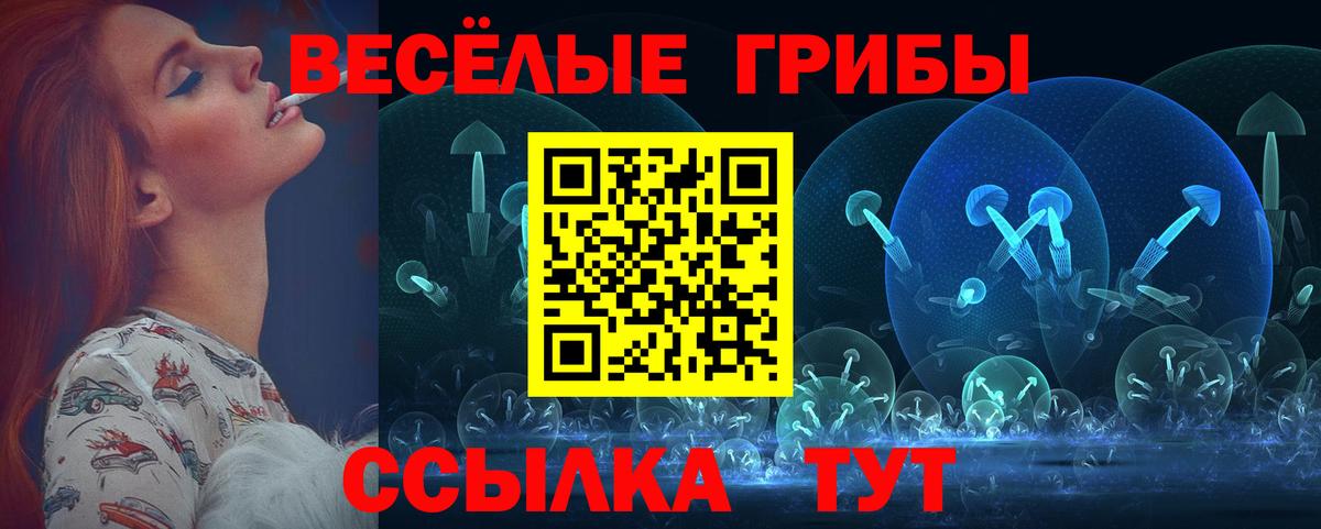 Псилоцибиновые грибы мицелий  Вход с VPN  Когалым  где купить наркоту  Галлюциногенные грибы MAGIC MUSHROOMS 
